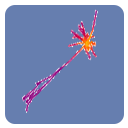 vscode-neuron